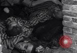 Standbild NS-Konzentrationslager Ludwigslust Deutschland, 1945, aus Sekunde 39 historischem Filmmaterial Videoclip 65675037227