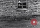 Image Wöbbelin Wobbelin Camp de concentration () Nanterre Allemagne, 1945, de la seconde 9 séquences d'archives historiques vidéo 65675037228