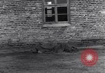 Image Wöbbelin Wobbelin Camp de concentration () Nanterre Allemagne, 1945, de la seconde 11 séquences d'archives historiques vidéo 65675037228