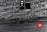 Image Wöbbelin Wobbelin Camp de concentration () Nanterre Allemagne, 1945, de la seconde 12 séquences d'archives historiques vidéo 65675037228