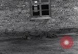 Image Wöbbelin Wobbelin Camp de concentration () Nanterre Allemagne, 1945, de la seconde 14 séquences d'archives historiques vidéo 65675037228