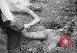 Standbild Atrocity Beweise auf Majdanek Kz Lublin Polen, 1944, aus Sekunde 23 historischem Filmmaterial Videoclip 65675037237