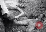Standbild Atrocity Beweise auf Majdanek Kz Lublin Polen, 1944, aus Sekunde 24 historischem Filmmaterial Videoclip 65675037237