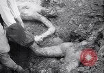 Standbild Atrocity Beweise auf Majdanek Kz Lublin Polen, 1944, aus Sekunde 25 historischem Filmmaterial Videoclip 65675037237