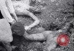 Standbild Atrocity Beweise auf Majdanek Kz Lublin Polen, 1944, aus Sekunde 26 historischem Filmmaterial Videoclip 65675037237