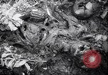 Standbild Atrocity Beweise auf Majdanek Kz Lublin Polen, 1944, aus Sekunde 29 historischem Filmmaterial Videoclip 65675037237