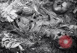 Standbild Atrocity Beweise auf Majdanek Kz Lublin Polen, 1944, aus Sekunde 30 historischem Filmmaterial Videoclip 65675037237