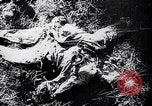 Standbild Atrocity Beweise auf Majdanek Kz Lublin Polen, 1944, aus Sekunde 31 historischem Filmmaterial Videoclip 65675037237