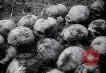 Standbild Atrocity Beweise auf Majdanek Kz Lublin Polen, 1944, aus Sekunde 32 historischem Filmmaterial Videoclip 65675037237
