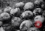 Standbild Atrocity Beweise auf Majdanek Kz Lublin Polen, 1944, aus Sekunde 33 historischem Filmmaterial Videoclip 65675037237