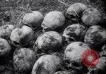 Standbild Atrocity Beweise auf Majdanek Kz Lublin Polen, 1944, aus Sekunde 34 historischem Filmmaterial Videoclip 65675037237