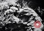 Standbild Atrocity Beweise auf Majdanek Kz Lublin Polen, 1944, aus Sekunde 45 historischem Filmmaterial Videoclip 65675037237