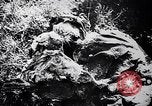 Standbild Atrocity Beweise auf Majdanek Kz Lublin Polen, 1944, aus Sekunde 47 historischem Filmmaterial Videoclip 65675037237