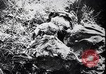 Standbild Atrocity Beweise auf Majdanek Kz Lublin Polen, 1944, aus Sekunde 48 historischem Filmmaterial Videoclip 65675037237