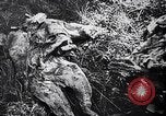 Standbild Atrocity Beweise auf Majdanek Kz Lublin Polen, 1944, aus Sekunde 52 historischem Filmmaterial Videoclip 65675037237