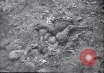 Standbild Atrocity Beweise auf Majdanek Kz Lublin Polen, 1944, aus Sekunde 61 historischem Filmmaterial Videoclip 65675037237