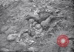 Standbild Atrocity Beweise auf Majdanek Kz Lublin Polen, 1944, aus Sekunde 62 historischem Filmmaterial Videoclip 65675037237