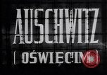 Standbild KZ Auschwitz Auschwitz Polen, 1944, aus Sekunde 5 historischem Filmmaterial Videoclip 65675037238