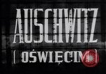 Standbild KZ Auschwitz Auschwitz Polen, 1944, aus Sekunde 7 historischem Filmmaterial Videoclip 65675037238
