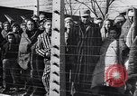 Standbild KZ Auschwitz Auschwitz Polen, 1944, aus Sekunde 28 historischem Filmmaterial Videoclip 65675037239