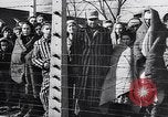 Standbild KZ Auschwitz Auschwitz Polen, 1944, aus Sekunde 29 historischem Filmmaterial Videoclip 65675037239