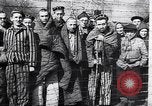 Standbild KZ Auschwitz Auschwitz Polen, 1944, aus Sekunde 41 historischem Filmmaterial Videoclip 65675037239
