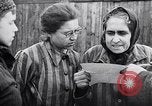 Immagine di Auschwitz campi di concentramento Auschwitz Polonia, 1944, secondo 19 filmato di repertorio 65675037240