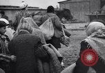 Immagine di Auschwitz campi di concentramento Auschwitz Polonia, 1944, secondo 31 filmato di repertorio 65675037240