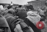 Immagine di Auschwitz campi di concentramento Auschwitz Polonia, 1944, secondo 33 filmato di repertorio 65675037240