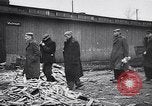 Immagine di Auschwitz campi di concentramento Auschwitz Polonia, 1944, secondo 37 filmato di repertorio 65675037240