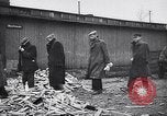 Immagine di Auschwitz campi di concentramento Auschwitz Polonia, 1944, secondo 38 filmato di repertorio 65675037240