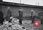 Immagine di Auschwitz campi di concentramento Auschwitz Polonia, 1944, secondo 40 filmato di repertorio 65675037240