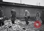 Immagine di Auschwitz campi di concentramento Auschwitz Polonia, 1944, secondo 41 filmato di repertorio 65675037240