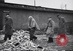 Immagine di Auschwitz campi di concentramento Auschwitz Polonia, 1944, secondo 42 filmato di repertorio 65675037240
