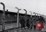Immagine di Auschwitz campi di concentramento Auschwitz Polonia, 1944, secondo 43 filmato di repertorio 65675037240