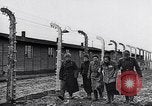 Immagine di Auschwitz campi di concentramento Auschwitz Polonia, 1944, secondo 44 filmato di repertorio 65675037240
