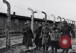 Immagine di Auschwitz campi di concentramento Auschwitz Polonia, 1944, secondo 46 filmato di repertorio 65675037240
