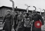 Immagine di Auschwitz campi di concentramento Auschwitz Polonia, 1944, secondo 49 filmato di repertorio 65675037240