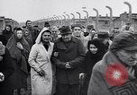 Immagine di Auschwitz campi di concentramento Auschwitz Polonia, 1944, secondo 54 filmato di repertorio 65675037240