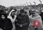 Immagine di Auschwitz campi di concentramento Auschwitz Polonia, 1944, secondo 57 filmato di repertorio 65675037240