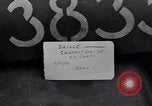 Immagine di Sfollati' Center Bensheim Germania, 1946, secondo 6 filmato di repertorio 65675037247