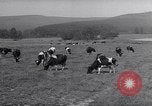 Image hommes achètent le blé Francfort Allemagne, 1946, de la seconde 9 séquences d'archives historiques vidéo 65675037249