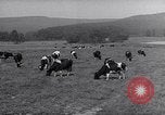 Image hommes achètent le blé Francfort Allemagne, 1946, de la seconde 10 séquences d'archives historiques vidéo 65675037249