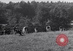Image hommes achètent le blé Francfort Allemagne, 1946, de la seconde 29 séquences d'archives historiques vidéo 65675037249