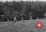 Image hommes achètent le blé Francfort Allemagne, 1946, de la seconde 30 séquences d'archives historiques vidéo 65675037249