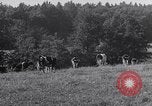 Image hommes achètent le blé Francfort Allemagne, 1946, de la seconde 33 séquences d'archives historiques vidéo 65675037249