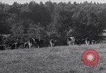 Image hommes achètent le blé Francfort Allemagne, 1946, de la seconde 34 séquences d'archives historiques vidéo 65675037249