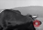 Image hommes achètent le blé Francfort Allemagne, 1946, de la seconde 58 séquences d'archives historiques vidéo 65675037249