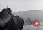 Image hommes achètent le blé Francfort Allemagne, 1946, de la seconde 61 séquences d'archives historiques vidéo 65675037249