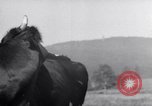 Image hommes achètent le blé Francfort Allemagne, 1946, de la seconde 62 séquences d'archives historiques vidéo 65675037249